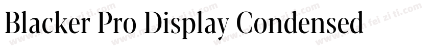 Blacker Pro Display Condensed Trial字体转换